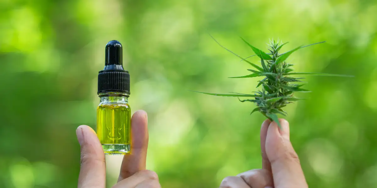 Cheapest CBD Oil in the UK: Where to Find Quality without Breaking the Bank